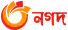 nagad logo